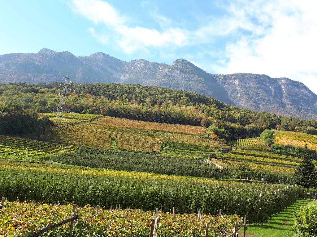 Wiesmuellerhof Caldaro Zewnętrze zdjęcie